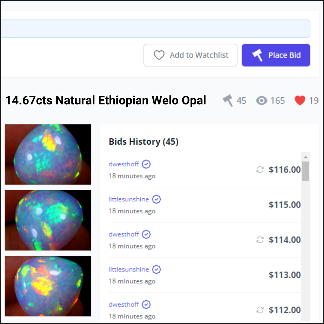 Placing Your First Bid (2).png